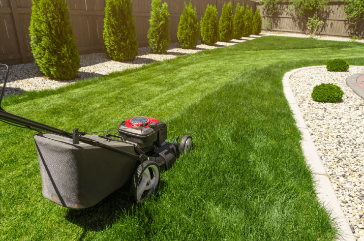 Maid in your city LLC